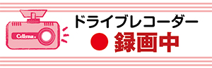 GDO-36 ドライブレコーダーステッカー (パステルピンク小)