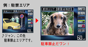 JX^}CY