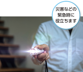 SI-1500/12V セルスター工業株式会社